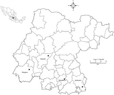 A DNA-based approach to infer species diversity of larvae and adults from the white grub genus Phyllophaga (Coleoptera: Scarabeidae)